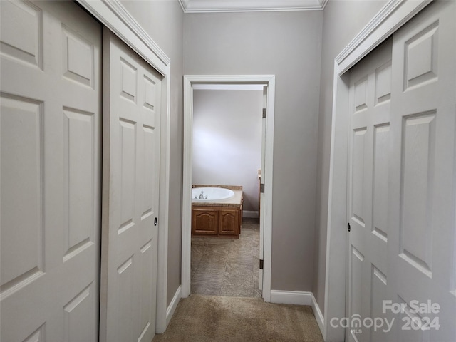 hall with sink, carpet floors, and ornamental molding