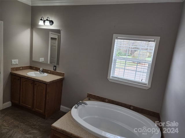 bathroom featuring vanity, ornamental molding, and a bathing tub