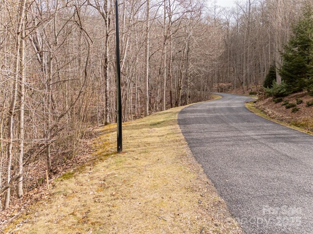 522 Blue Mist Way, Arden, NC 28704 - photo 19