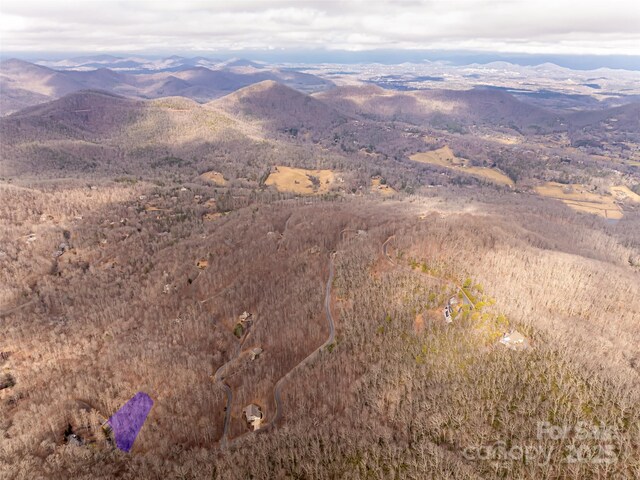 522 Blue Mist Way, Arden, NC 28704 - photo 20