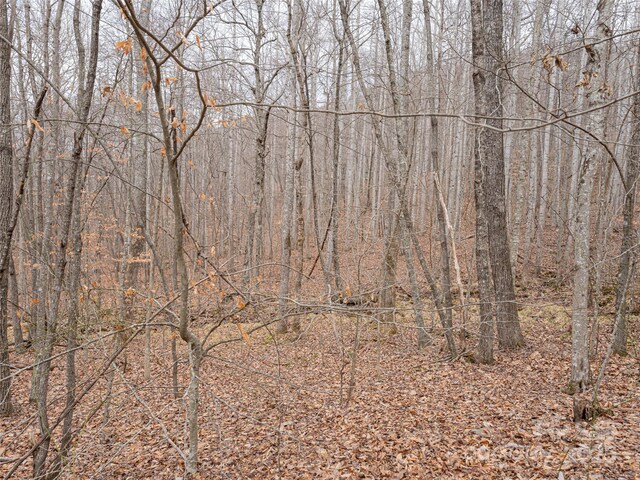 522 Blue Mist Way, Arden, NC 28704 - photo 21