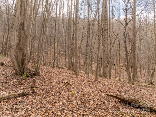522 Blue Mist Way, Arden, NC 28704 - photo 27
