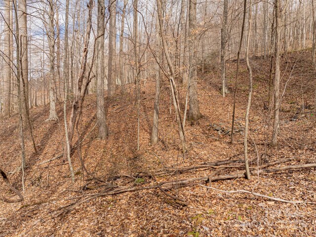 522 Blue Mist Way, Arden, NC 28704 - photo 28