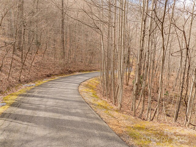 522 Blue Mist Way, Arden, NC 28704 - photo 29