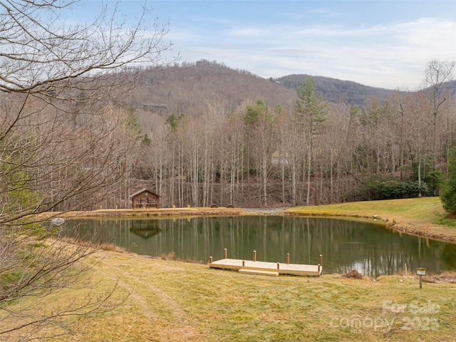 522 Blue Mist Way, Arden, NC 28704 - photo 34