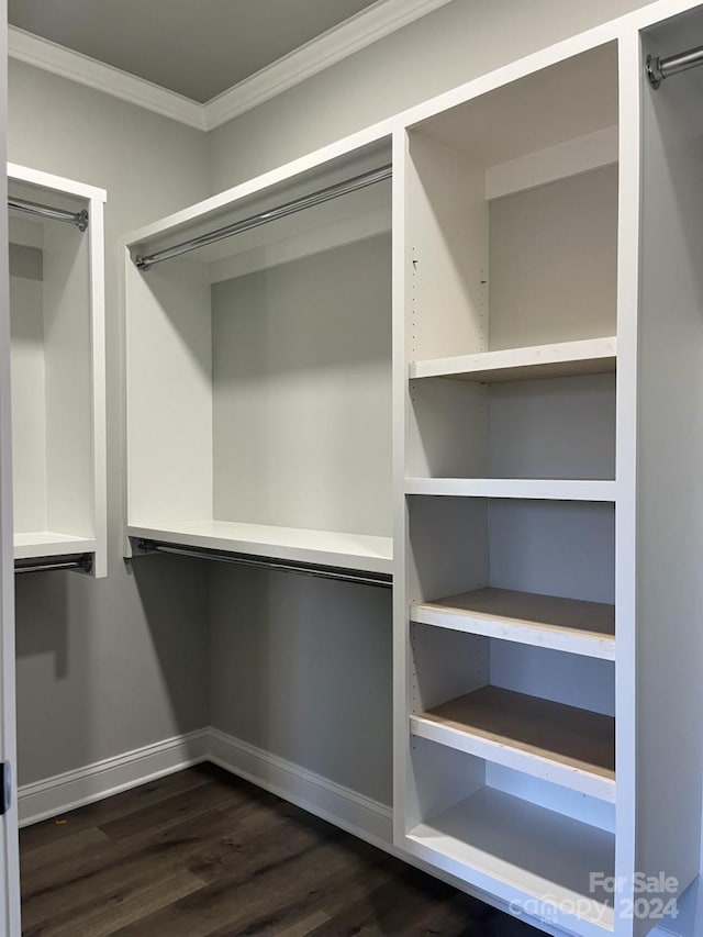 spacious closet featuring dark wood-type flooring