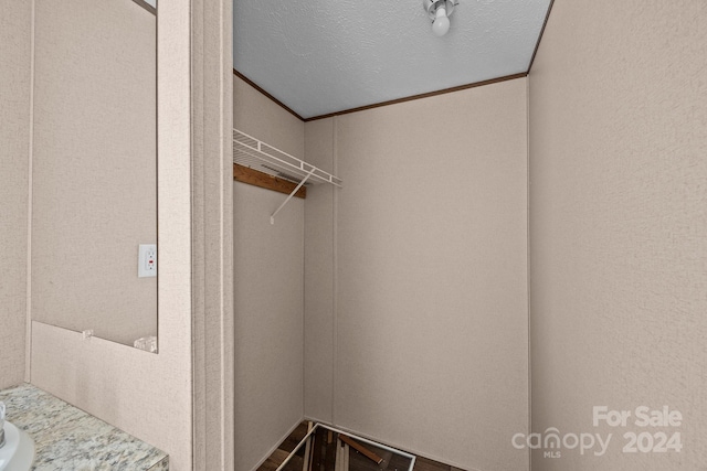 walk in closet with vaulted ceiling