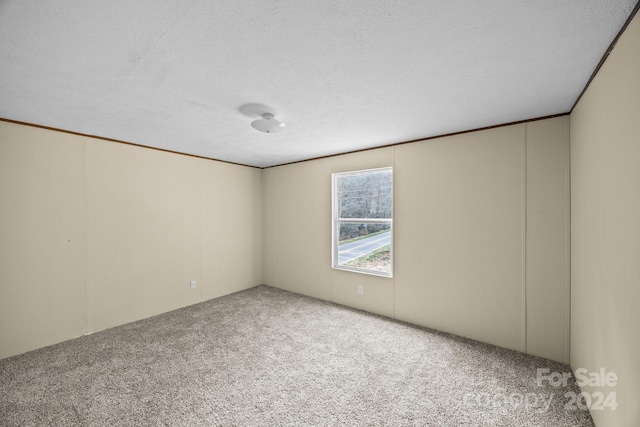 spare room featuring a textured ceiling and carpet flooring