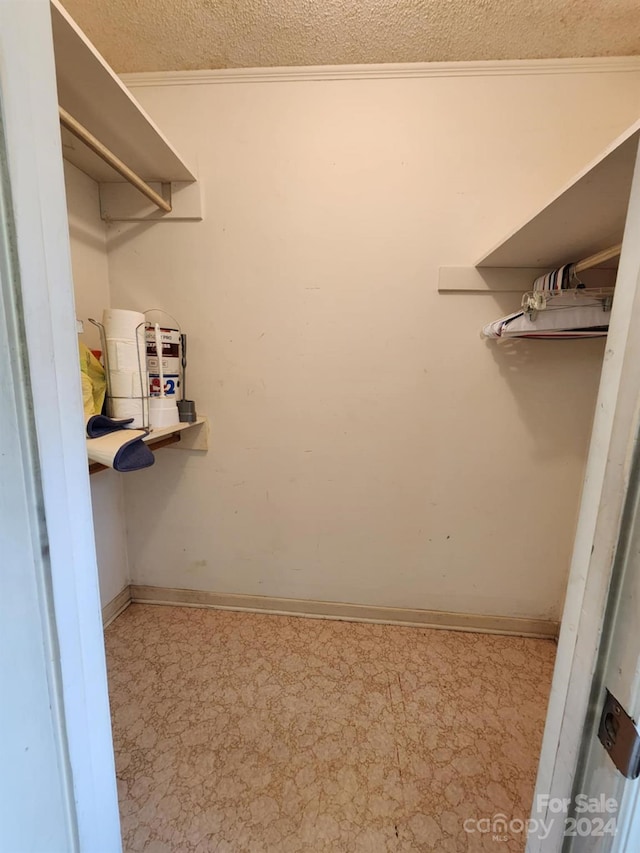 spacious closet featuring carpet