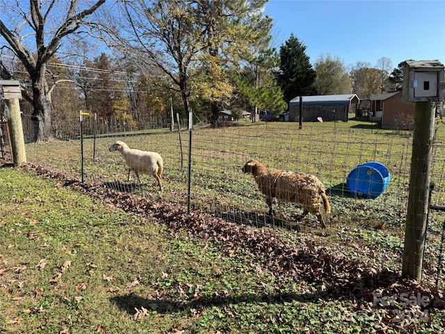 view of yard with a rural view