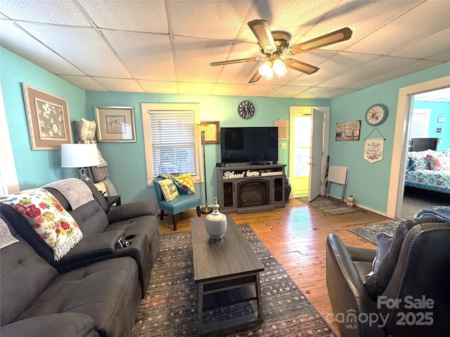 living room with a paneled ceiling, hardwood / wood-style floors, and ceiling fan