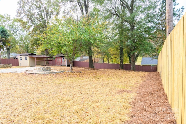 view of yard featuring a storage shed