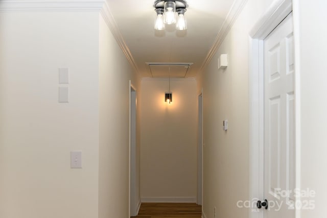 hall featuring hardwood / wood-style flooring and crown molding