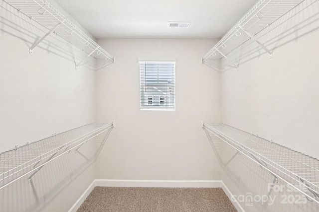 spacious closet with carpet floors