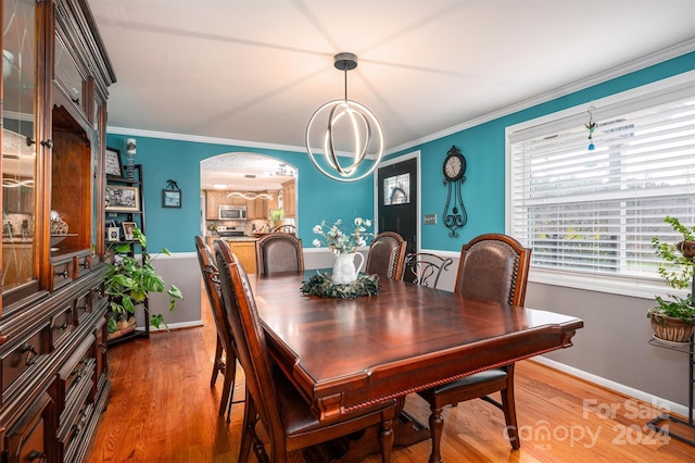 dining area featuring hardwood / wood-style floors and crown molding