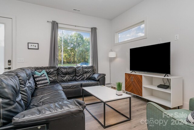 living room featuring hardwood / wood-style floors and a healthy amount of sunlight