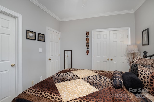 bedroom featuring crown molding and a closet