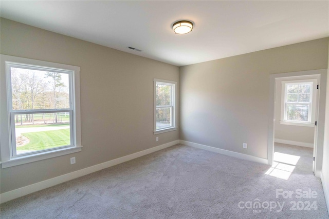 carpeted spare room with a healthy amount of sunlight