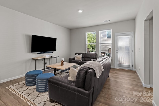 living room featuring hardwood / wood-style floors