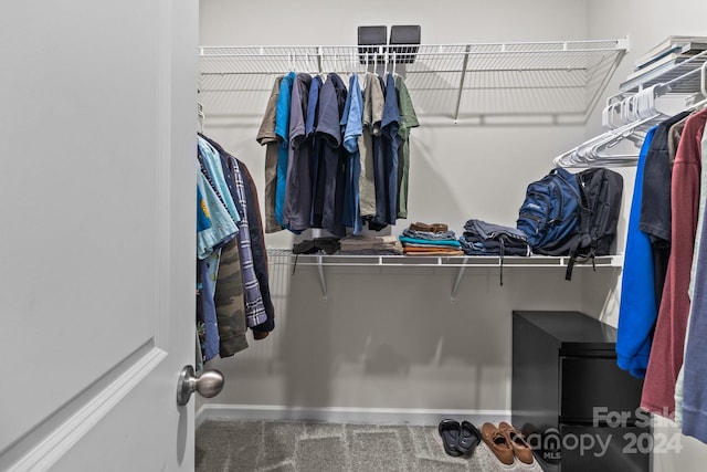 walk in closet with carpet floors