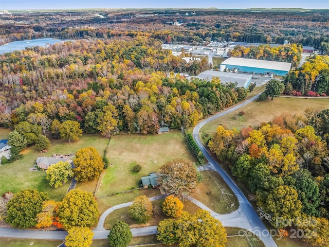 bird's eye view