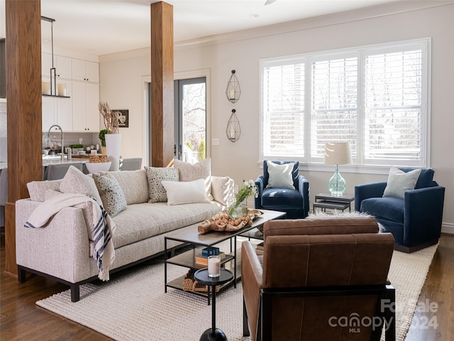 living room featuring dark hardwood / wood-style flooring, ornate columns, and crown molding