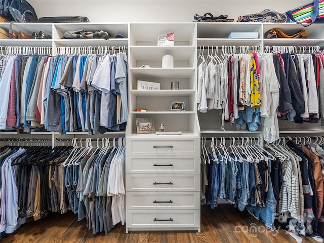 walk in closet featuring dark wood-type flooring