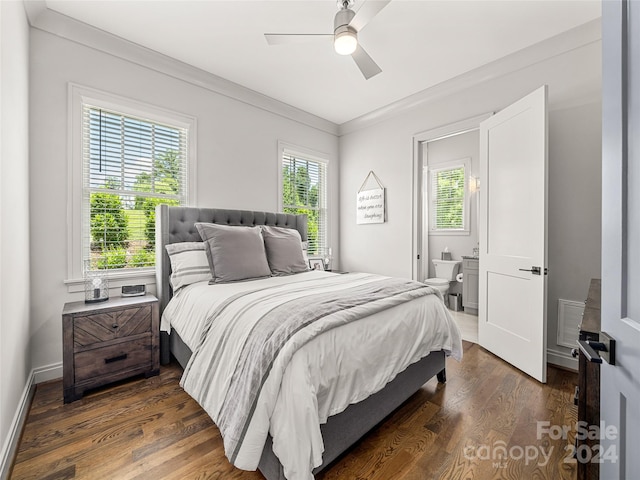 bedroom featuring dark hardwood / wood-style flooring, multiple windows, and ceiling fan