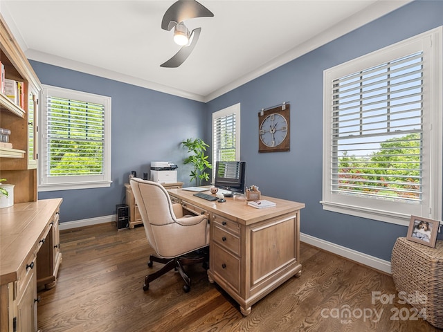 home office with ornamental molding, a healthy amount of sunlight, and dark hardwood / wood-style floors