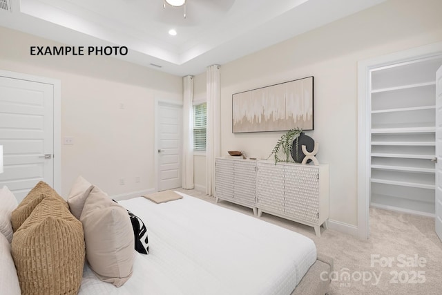 carpeted bedroom featuring a tray ceiling and a spacious closet