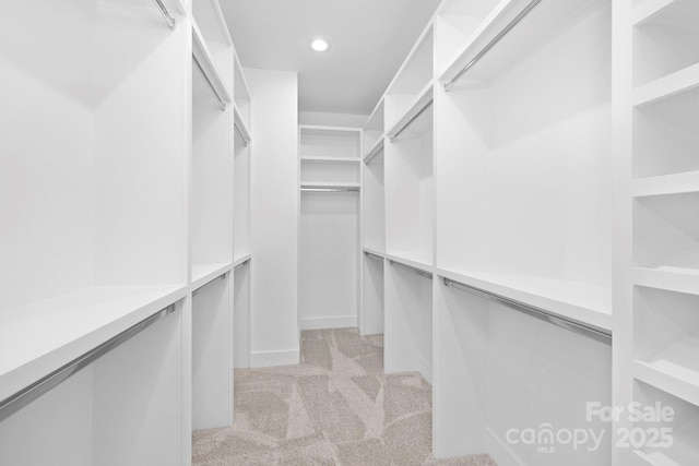 walk in closet with light carpet