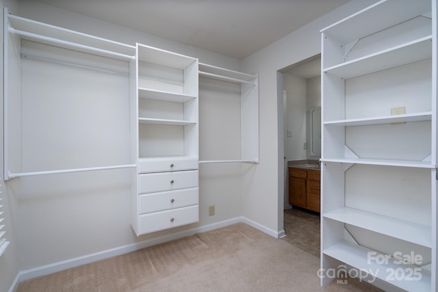 walk in closet with light colored carpet