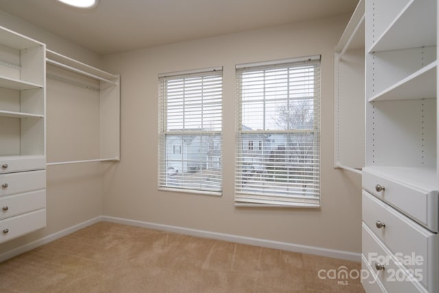 walk in closet with light carpet