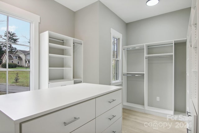 walk in closet with light hardwood / wood-style floors