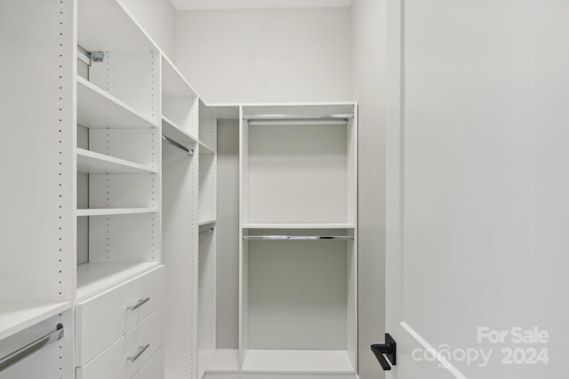 view of spacious closet