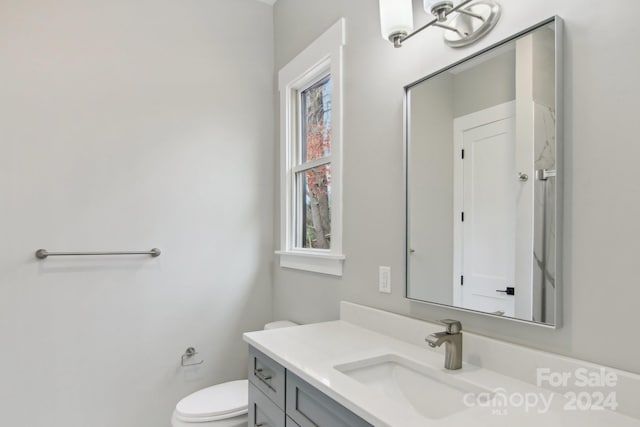 bathroom with toilet and vanity