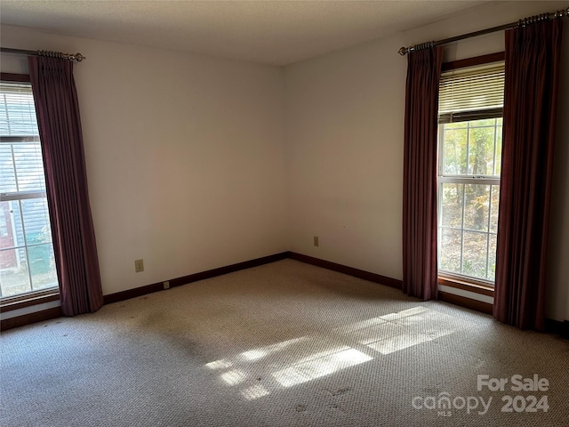 unfurnished room with a wealth of natural light and light carpet