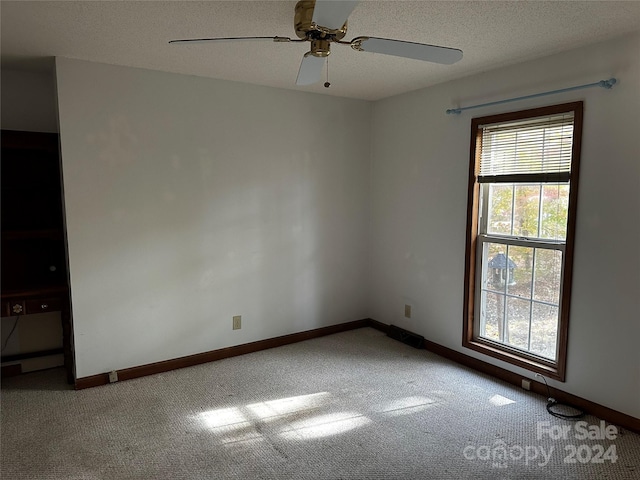 empty room featuring a textured ceiling, carpet flooring, and a healthy amount of sunlight