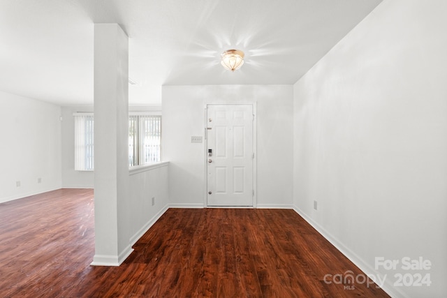 entrance foyer featuring wood-type flooring