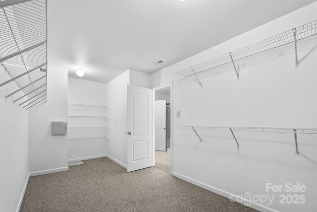 spacious closet with carpet