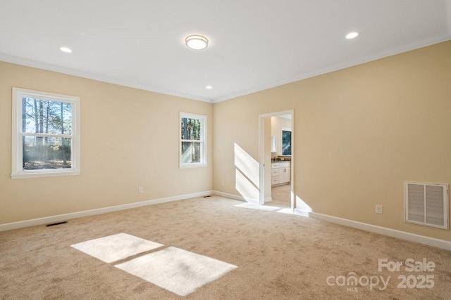 spare room featuring light carpet and ornamental molding