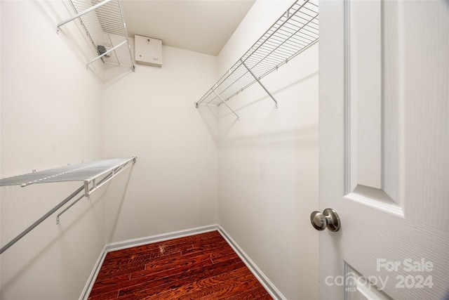 spacious closet with hardwood / wood-style floors