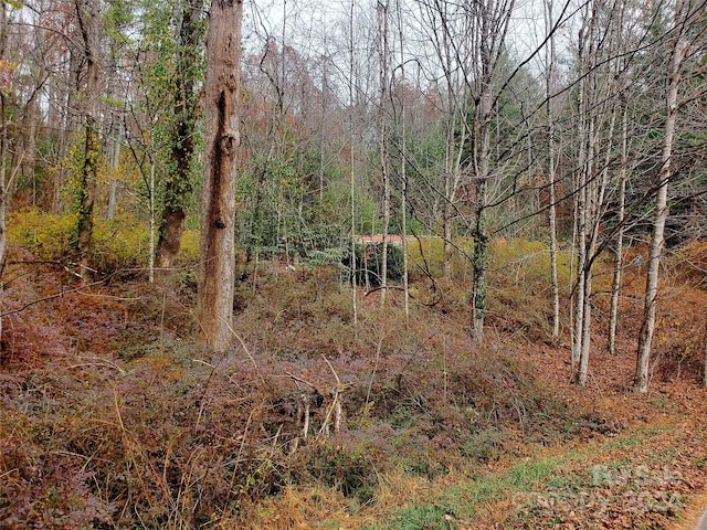 view of landscape