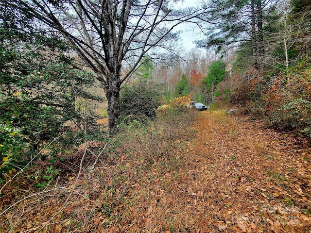 view of yard featuring a wooded view