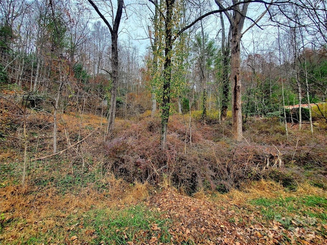 view of nature with a forest view