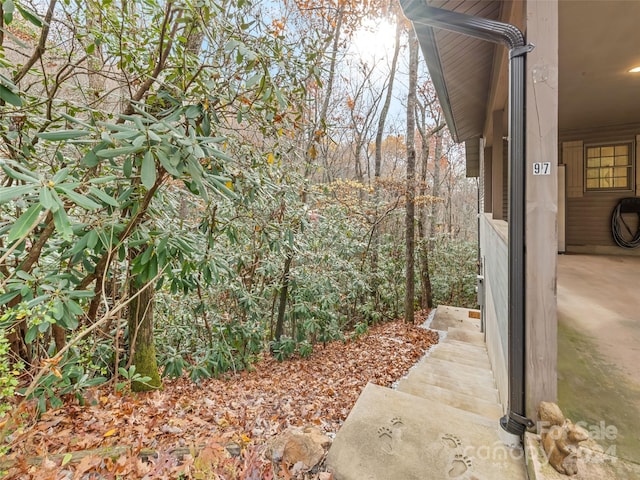 view of yard featuring a patio