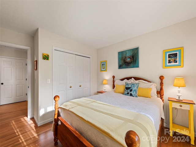 bedroom with hardwood / wood-style floors and a closet