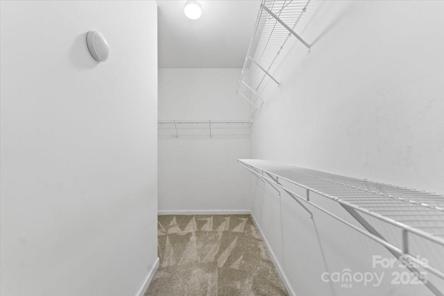 spacious closet with light colored carpet