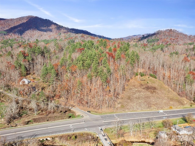 0000 Lickskillet Rd, Burnsville, NC 28714 - photo 4