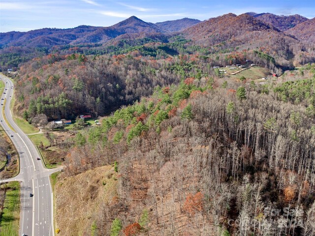 0000 Lickskillet Rd, Burnsville, NC 28714 - photo 12